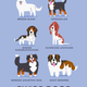 Illustration for article titled Adorable Drawings of Dog Breeds, Grouped By Their Place of Origin